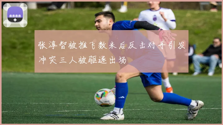 张淳智被推飞数米后反击对手引发冲突三人被驱逐出场